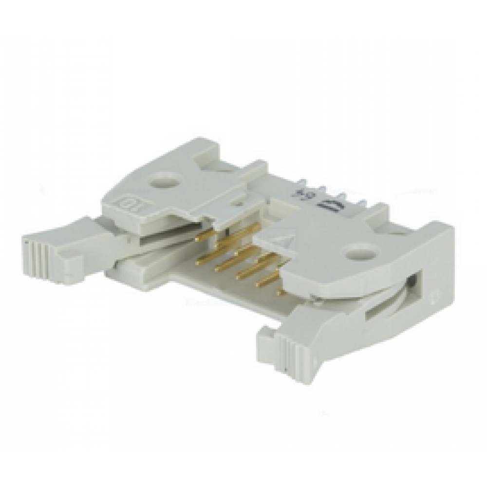 Conector Wire-to-Board 10 contactos 180º